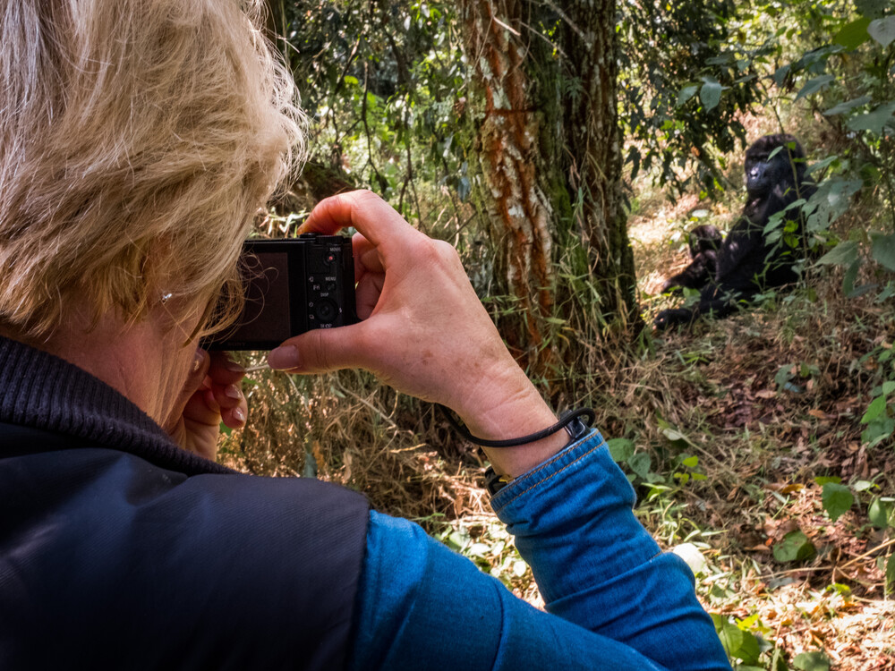 Bwindi Gorilla Habituation Experience with NextGen Safaris