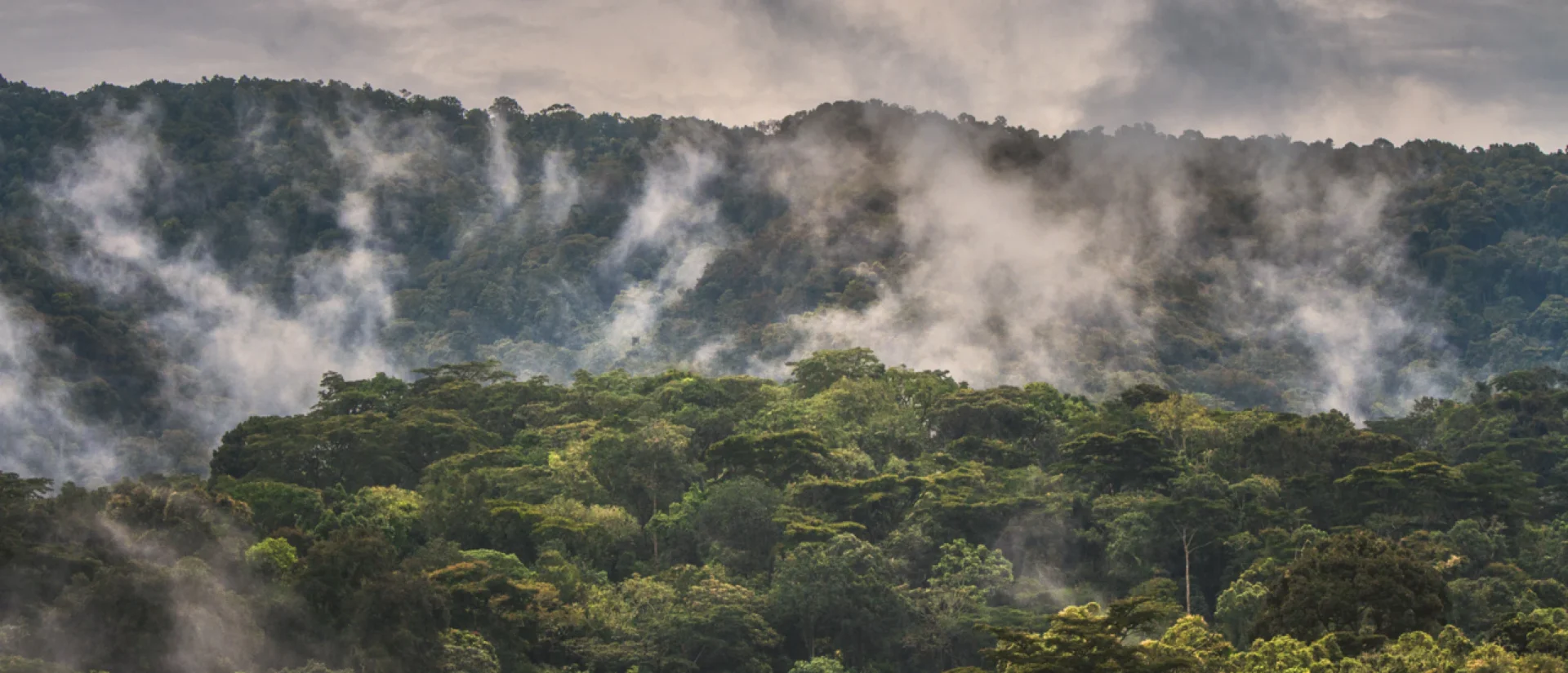 Bwindi Impenetrable National Park Views