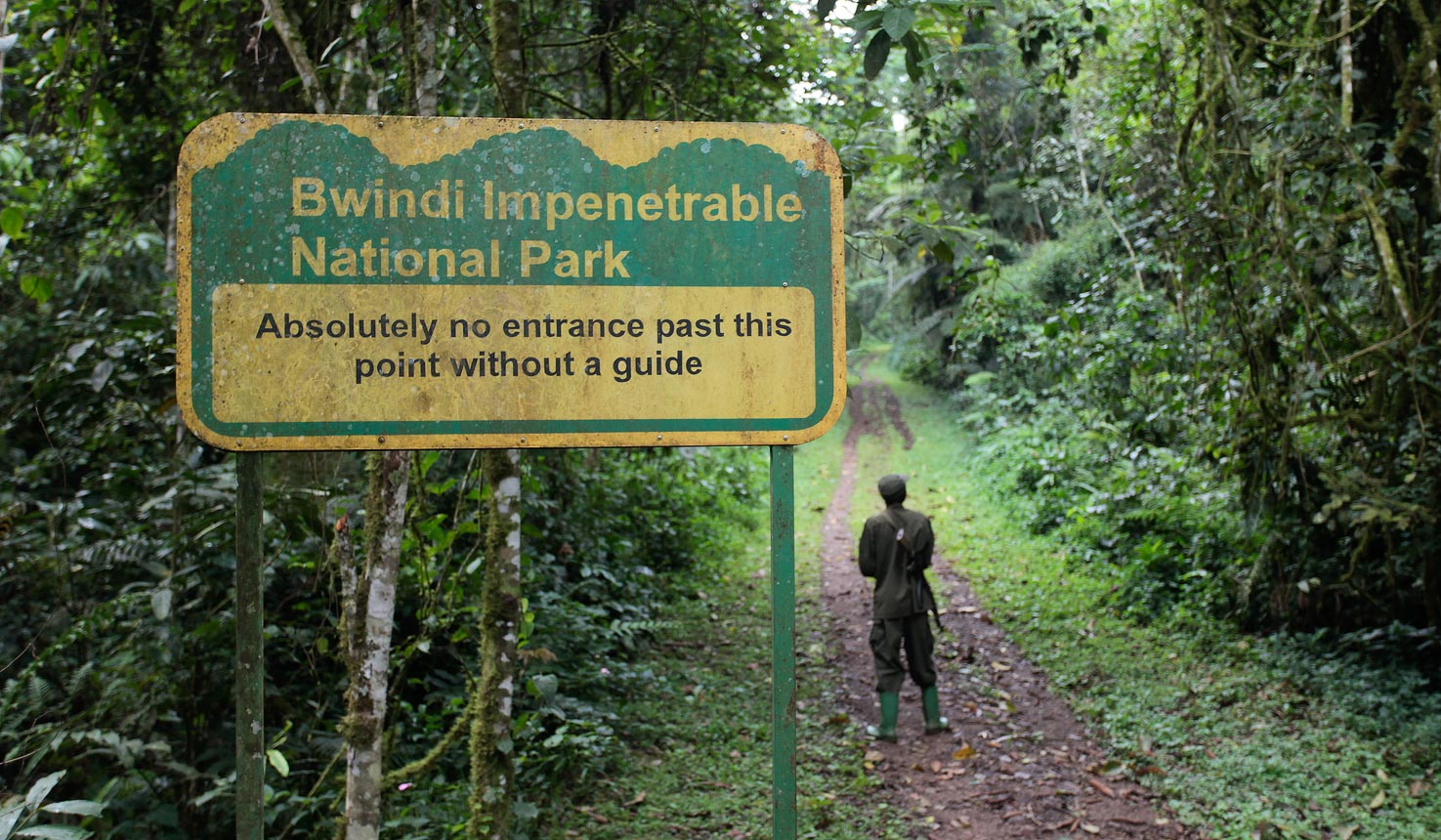 Bwindi Impenetrable National park with Nextgen Safaris
