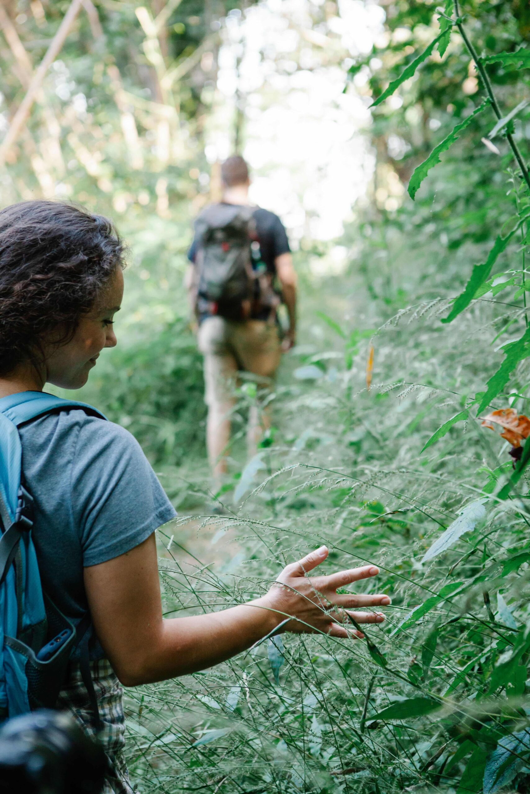 Explore Bwindi NP scaled