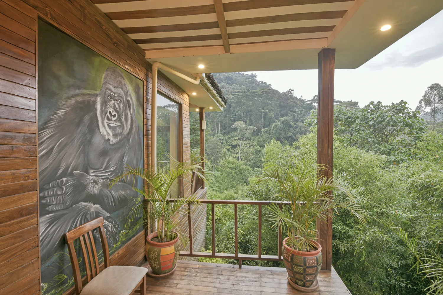 FOur Gorillas Views