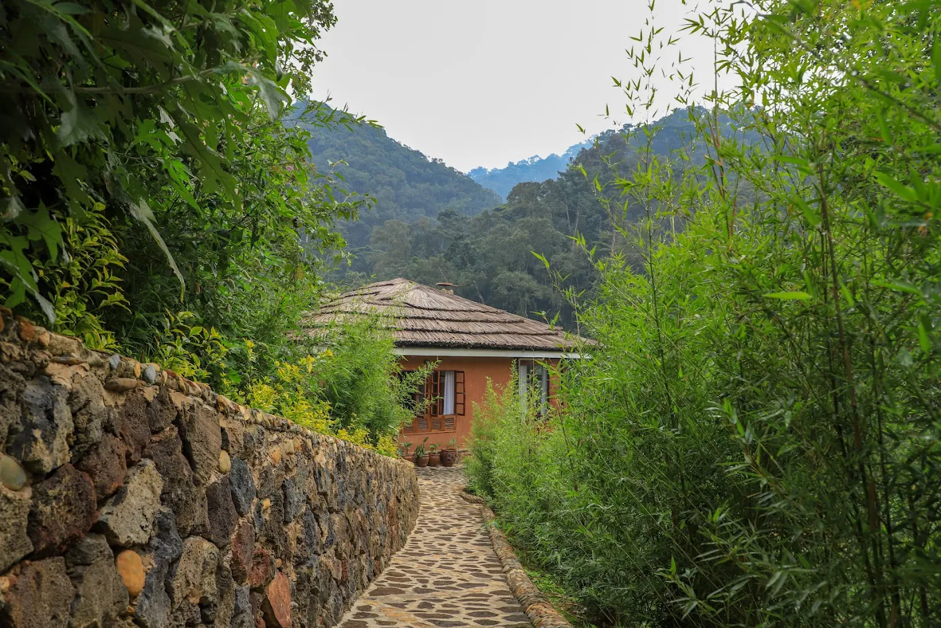 Lodges Near Gorilla Habituation Briefing Point 18 Four Gorillas Lodge Rushaga luxury lofge
