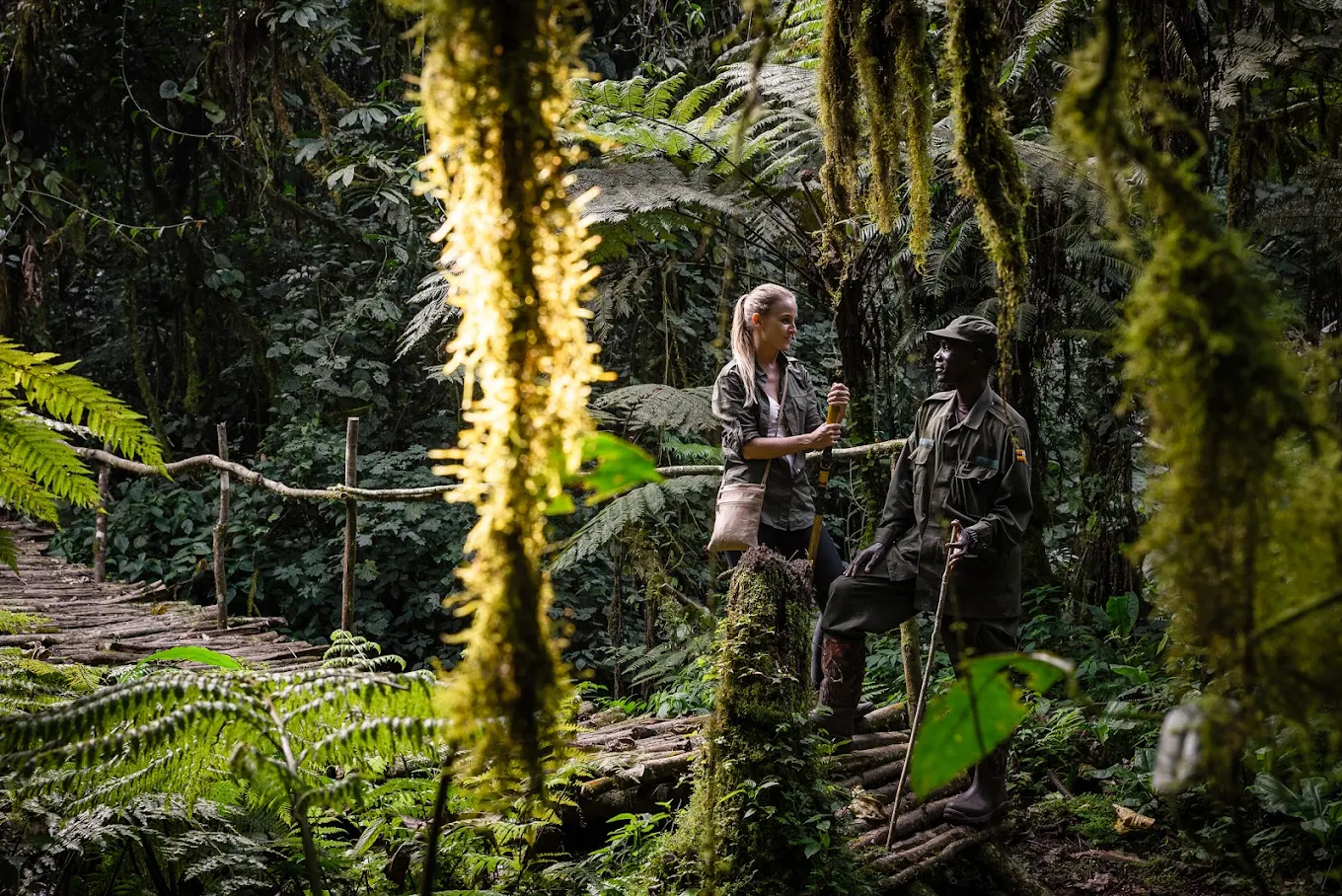 Gorilla Forest Lodge an AK Sanctuary Guide