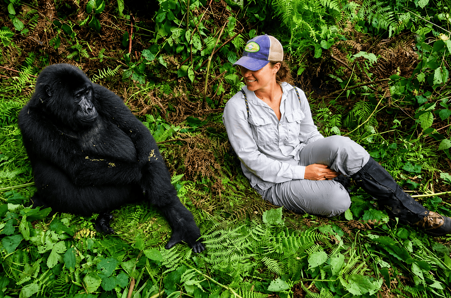 Gorilla Habituation Experience with NextGen Safaris