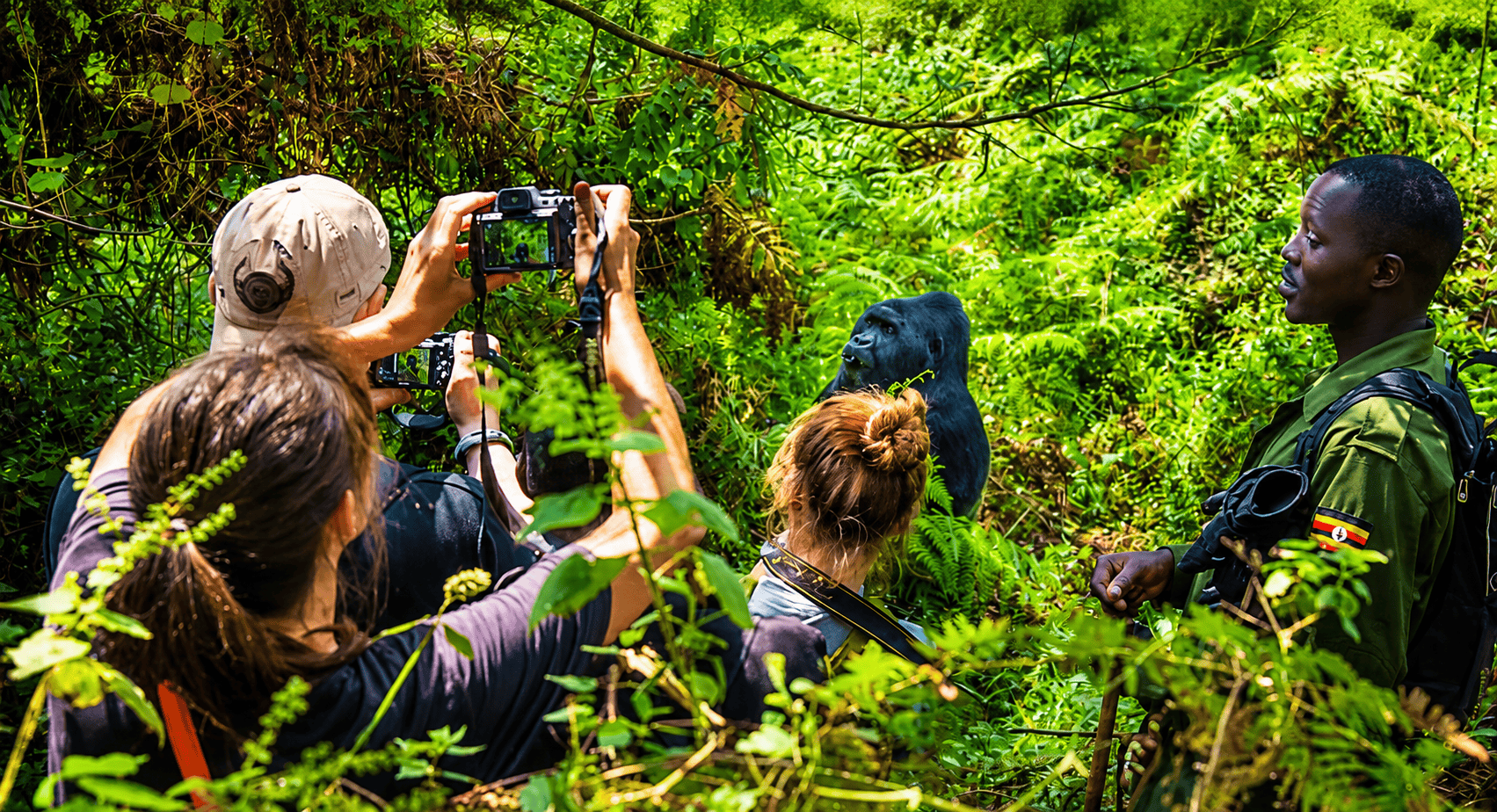 Tours in the Jungle Bwindi NP