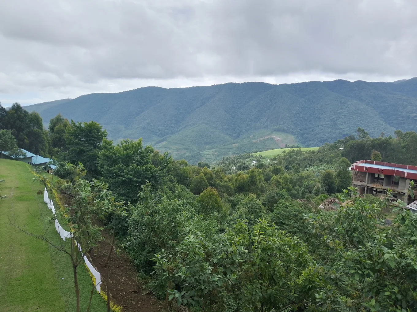 chimpanzee lodge Nyungwe