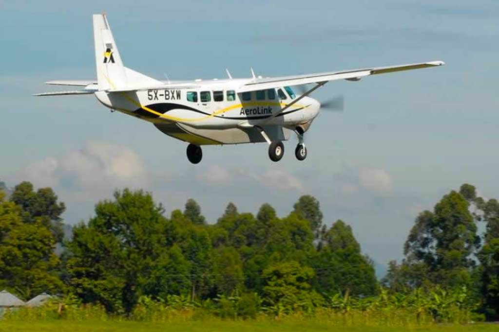 Luxury 5 Days Bwindi Gorilla Photography Safari 9 3 days flying gorilla trekking safari