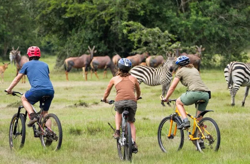 7 Days Lake Mburo Bwindi Gorillas and Volcanoes Safari