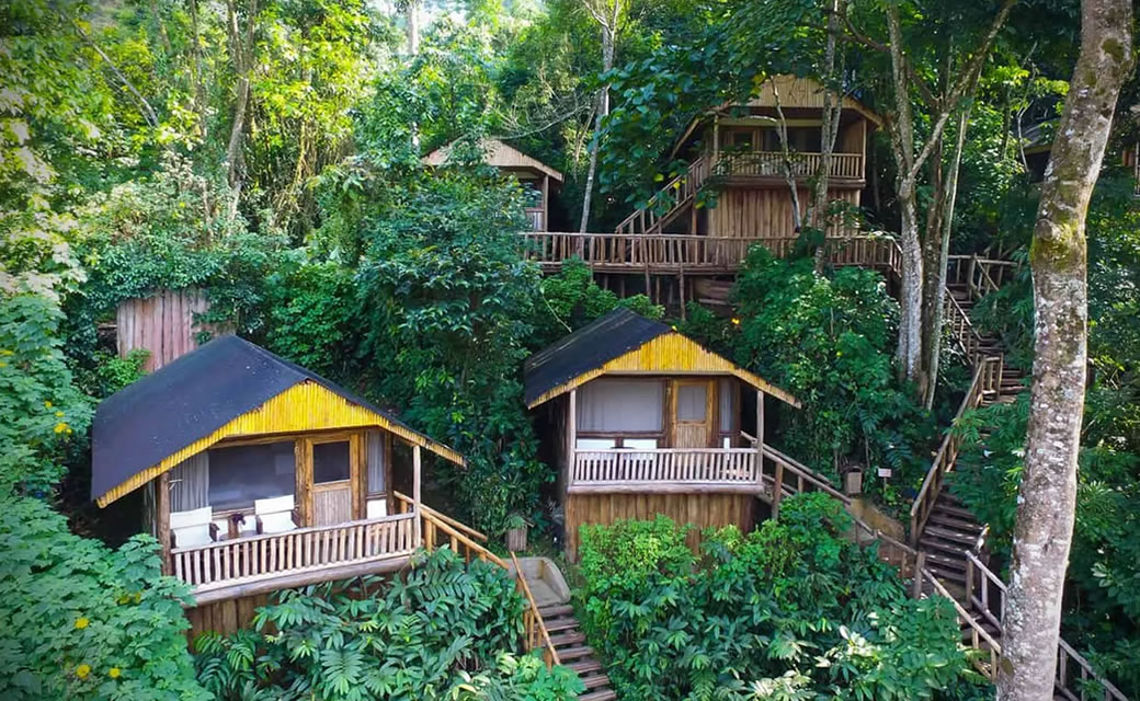 Midrange Lodges in Bwindi Rushaga 16 Rushaga Sector is one of the most famous gorilla trekking destinations in Uganda, located in the southern part of Bwindi Impenetrable National Park. Known for Best Lodges in Rushaga Sector Bwindi and incredible mountain gorilla encounters, breathtaking landscapes, and exclusive gorilla habituation experiences, Rushaga attracts travelers from around the world seeking a deeper connection with Uganda’s endangered mountain gorillas.