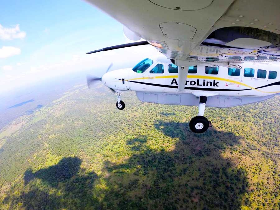 Fly-In Gorilla Habituation Safaris Uganda are the epitome of convenience, luxury, and immersive wildlife experience. These safaris allow travelers to bypass long road transfers and arrive directly at Bwindi Impenetrable Forest or Mgahinga Gorilla National Park via private or scheduled domestic flights. By minimizing travel time, guests maximize their opportunities for gorilla habituation, forest exploration, and photography.