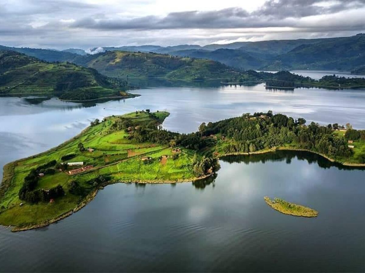 Gorilla Habituation and Lake Bunyonyi Tour