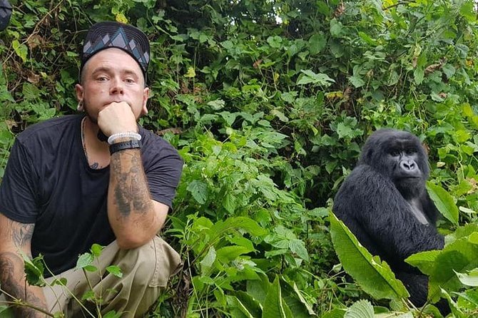 Gorilla trek
