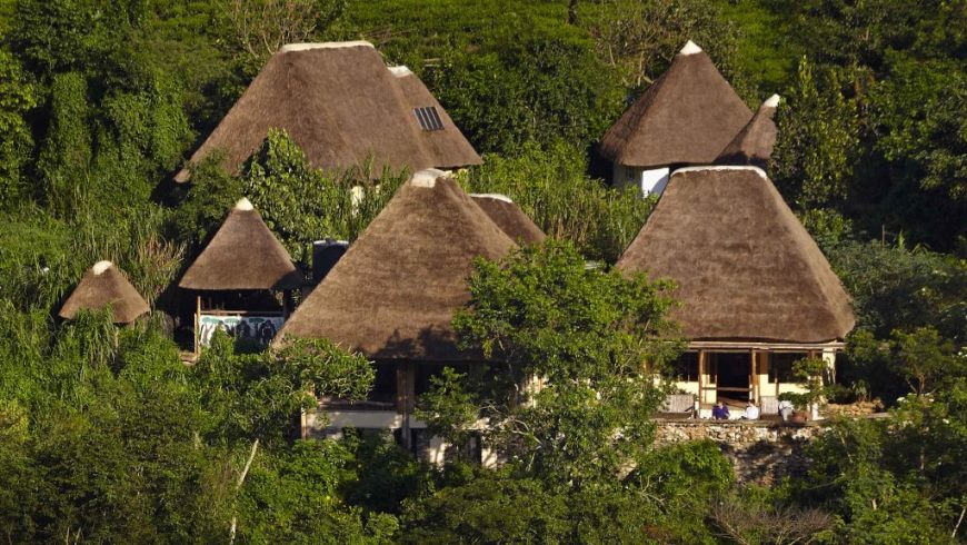 Midrange Lodges in Bwindi Rushaga 1 Midrange lodges bwindi
