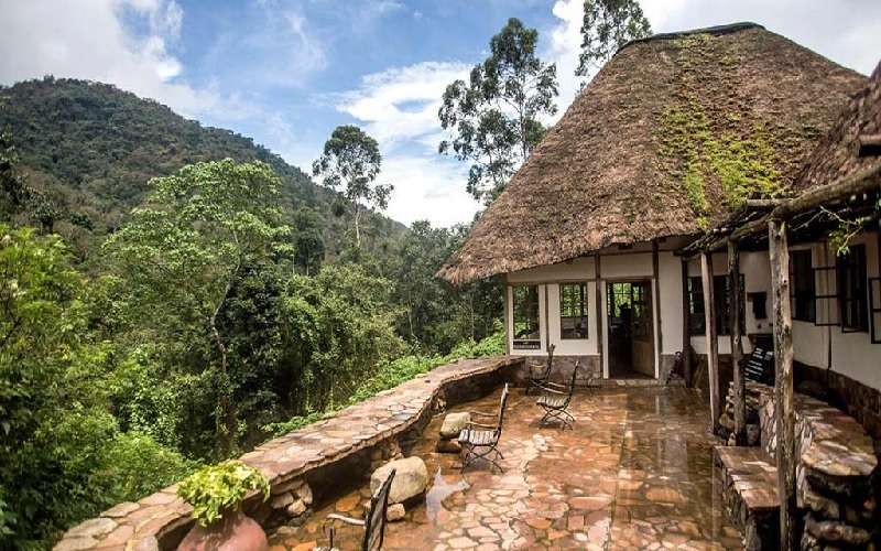 Midrange Lodges in Bwindi Rushaga 7 Midrange lodges