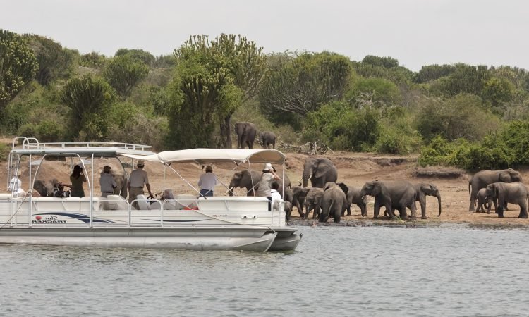 Morning Game Drive and Kazinga Channel Boat Cruise