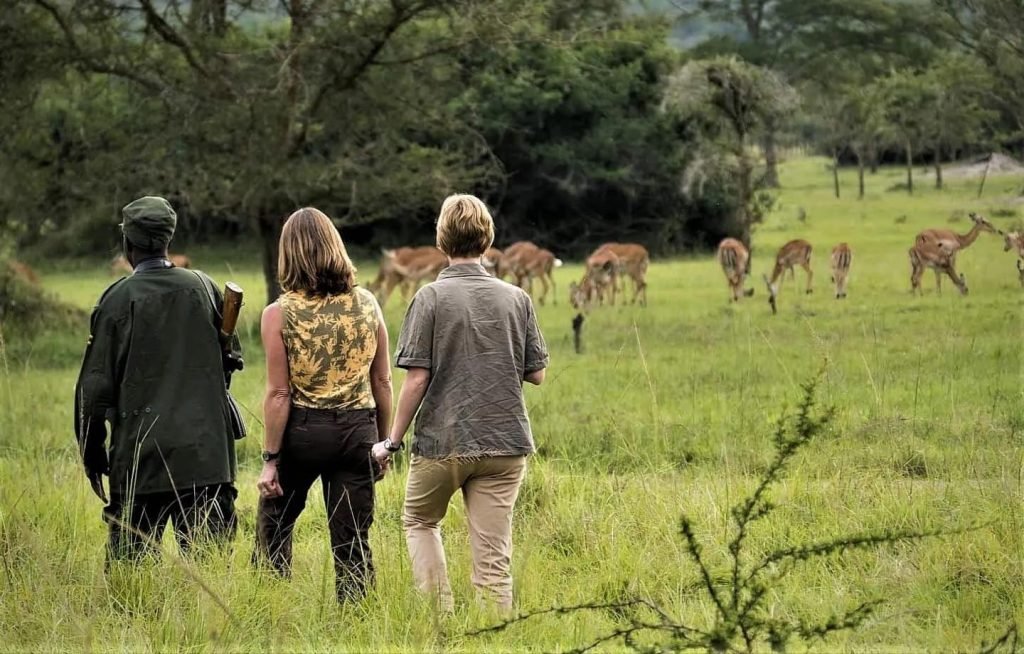 Morning Walking Safari and Return to Entebbe