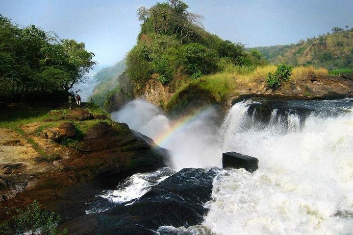 Safari to Murchison Falls National Park via Ziwa Rhino Sanctuary