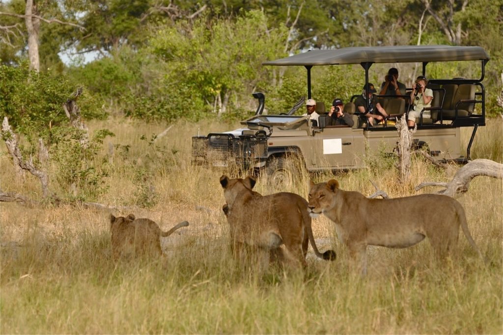Murchison Falls National Park Uganda Safari