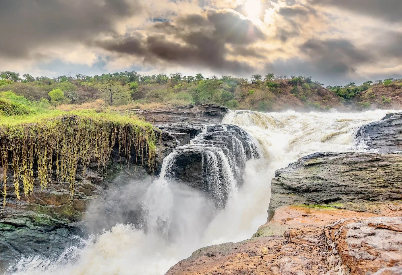 Murchison falls