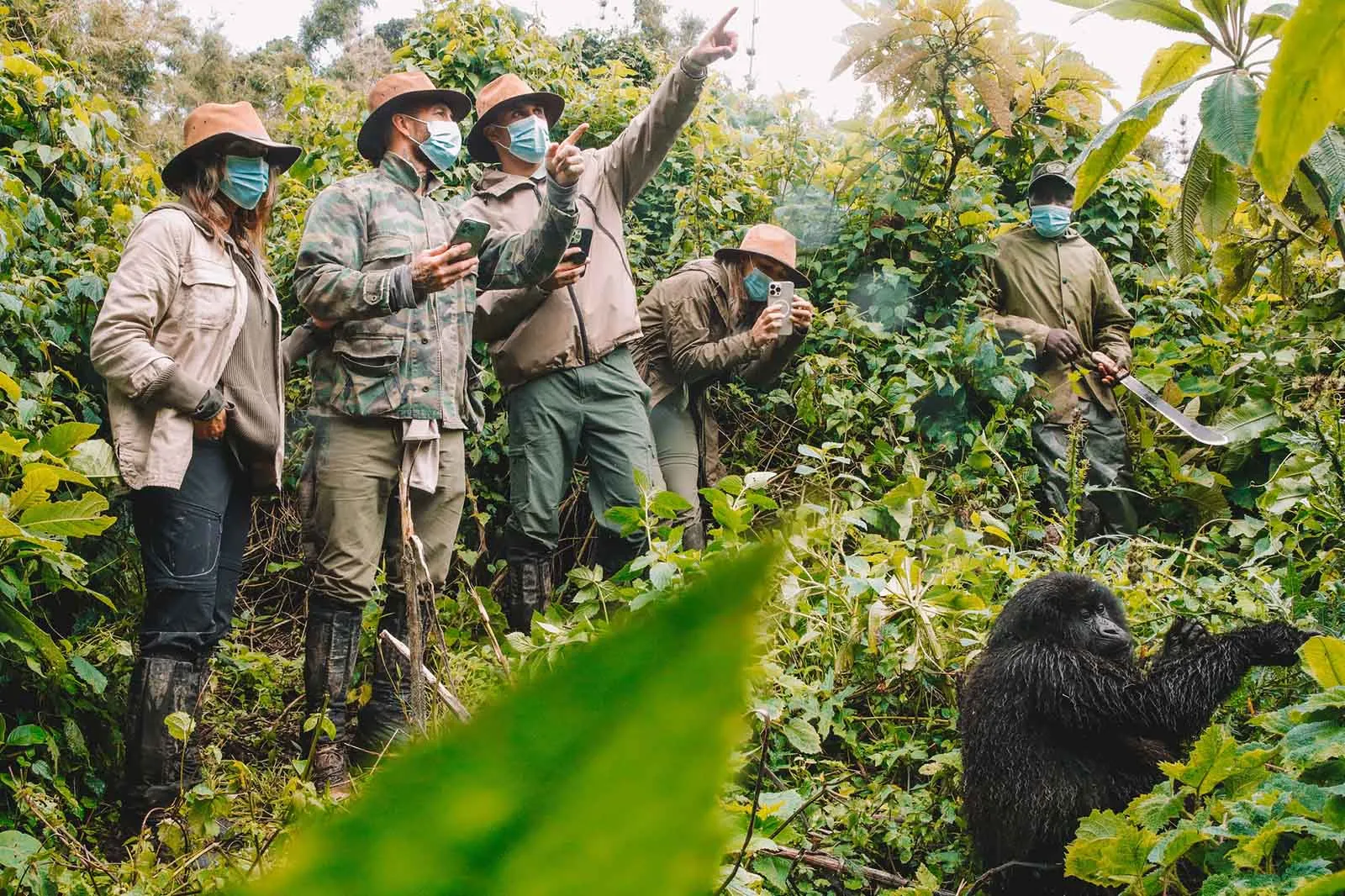 Gorilla Photography Tips Bwindi Forest 7 Safety Tips for Gorilla Habituation Uganda while participating in the gorilla habituation experience is one of the most exclusive and rewarding wildlife adventures in Africa. Unlike regular gorilla trekking, which allows visitors to spend one hour with a fully habituated gorilla family, the gorilla habituation experience