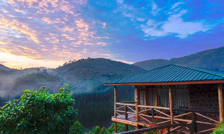 Midrange Lodges in Bwindi Rushaga 18 Rushaga Gorilla Haven Lodgea 750x450 1