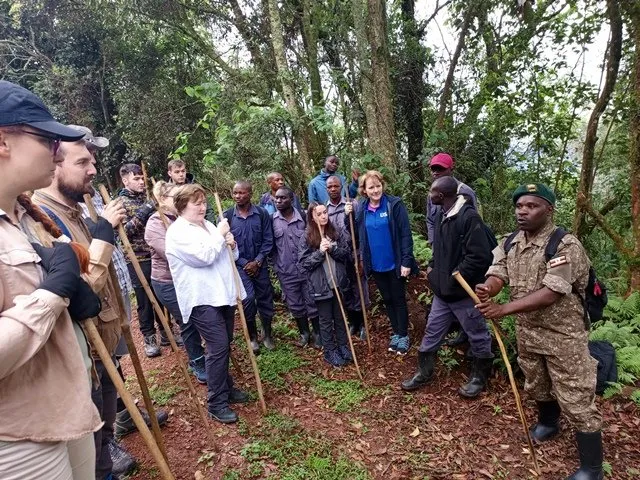 Why use a porter on gorilla trekking in Africa