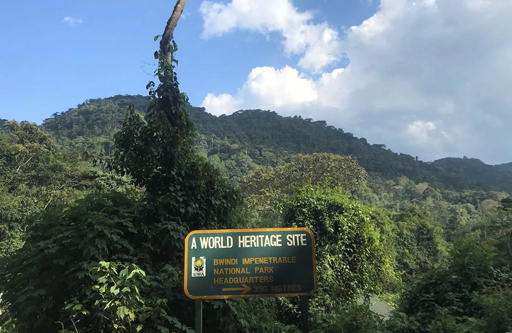 Bwindi Impenetrable National Park UNESCO World Heritage Site Uganda