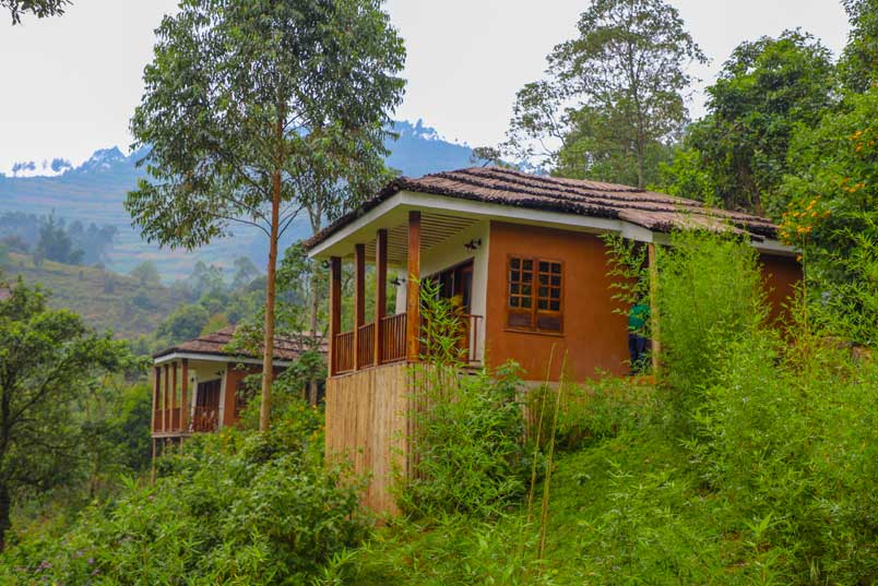 Midrange Lodges in Bwindi Rushaga 8 four gorillas lodge bwindi