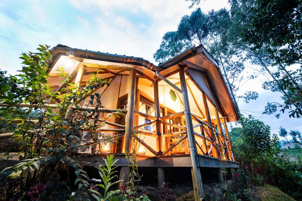 Midrange Lodges in Bwindi Rushaga 13 gorilla safari lodge bwindi