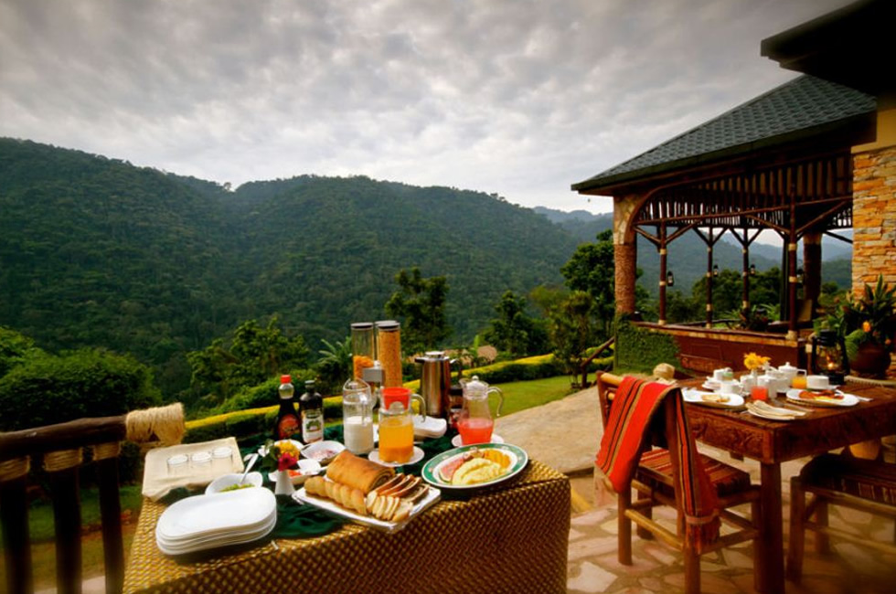 Midrange Lodges in Bwindi Rushaga 14 ichumbi gorilla lodge