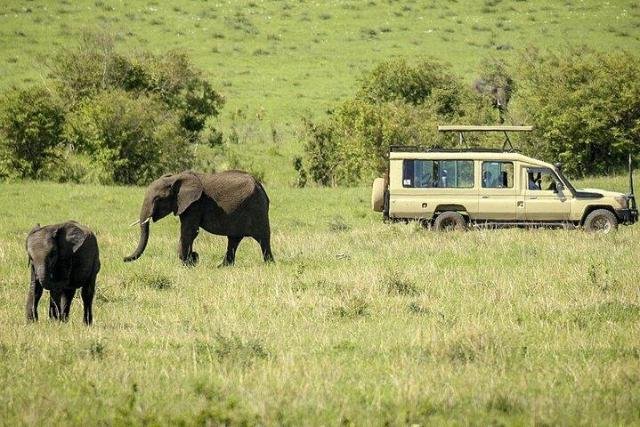 12 Days Rwanda Uganda Kenya Safari Extension 16 Arrival in Kenya and Transfer to Maasai Mara National Reserve