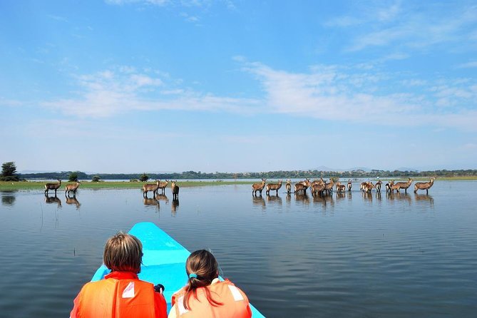 12 Days Rwanda Uganda Kenya Safari Extension 17 Transfer to Lake Naivasha or Nairobi