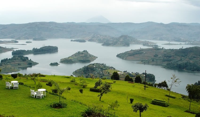 bunyonyi