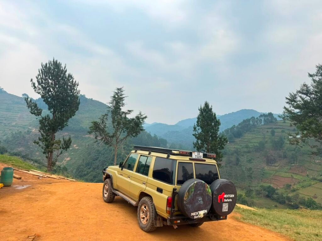 3 Days Budget Gorilla Habituation Safari from Entebbe