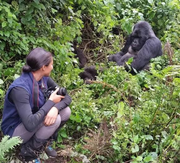 Choosing Safe Footwear for Gorilla Habituation Trekking in Bwindi Gorilla Habituation Safety