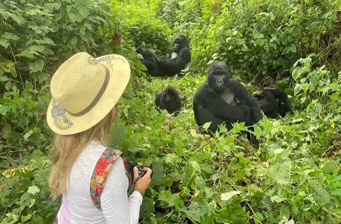 How close children can get during Gorilla Habituation in Uganda