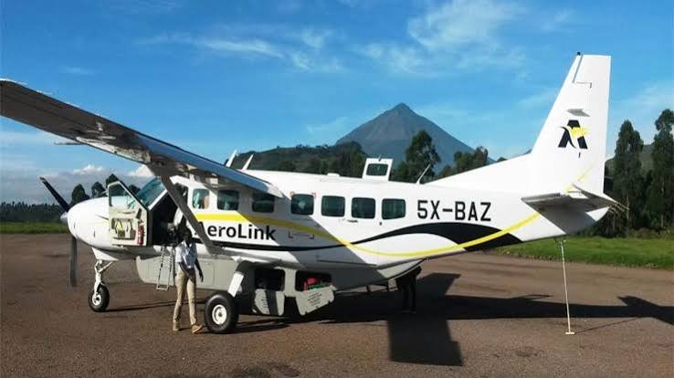 Entebbe Bwindi Gorilla Habituation