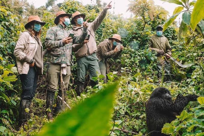 Hiking Boots for Gorilla Habituation