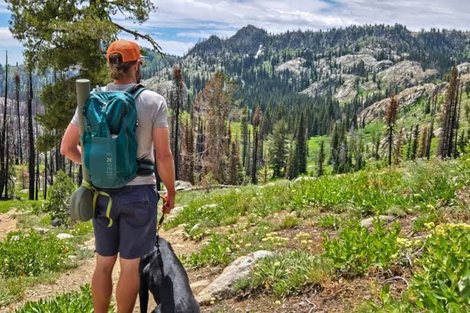 How to Prepare Your Daypack Before Gorilla Habituation Trekking Gorilla Habituation Packing List