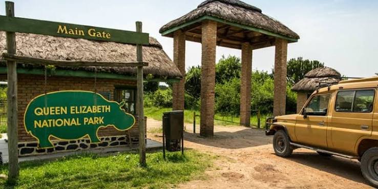 Wildlife and Landscapes of Queen Elizabeth National Park Gorilla Habituation From Kigali