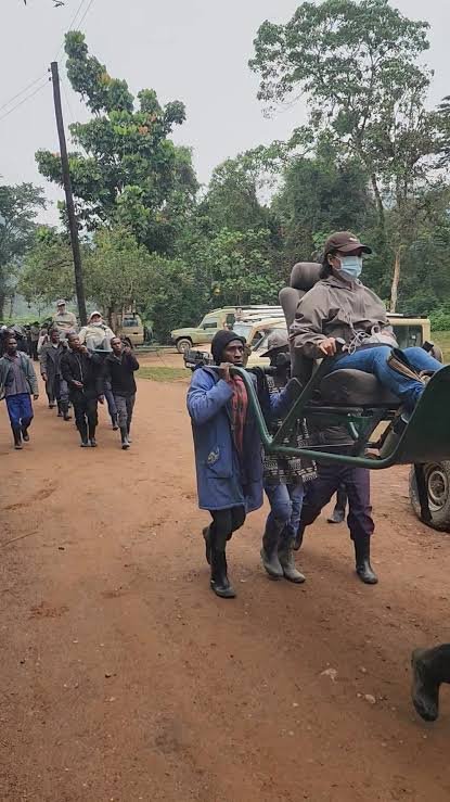 What a Porter Does During Gorilla Habituation in Bwindi Porter for Gorilla Habituation