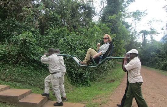 Local Porter Support for Gorilla Habituation in Bwindi Porter for Gorilla Habituation