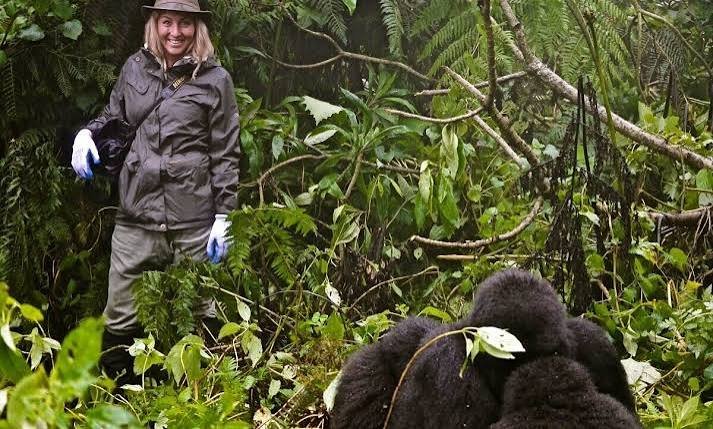 Essential Items to Pack for a Gorilla Habituation Experience in Bwindi Gorilla Habituation Packing List
