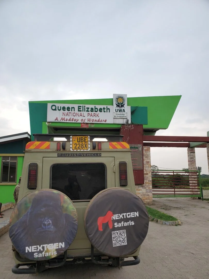 Gorilla Trekking Safari Experience in Uganda and Rwanda