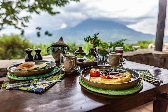 Dining Experience on a Uganda Gorilla Safari