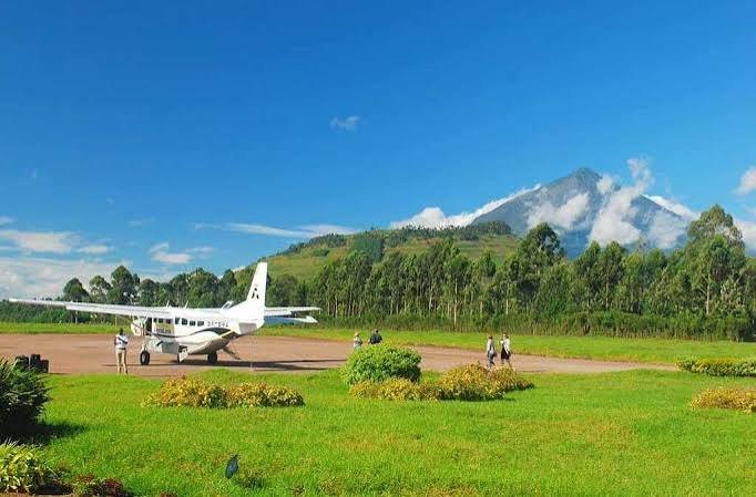 Entebbe Bwindi Gorilla Habituation
