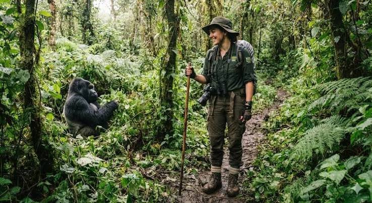 Essential Trekking Clothing for Gorilla Habituation in Bwindi Gorilla Habituation Packing List